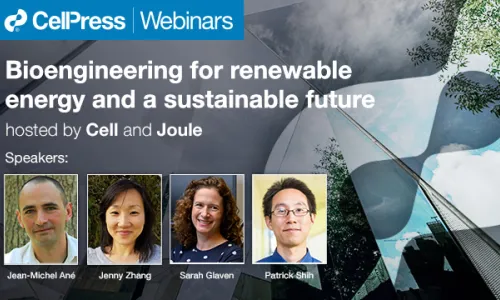 Bioengineering for renewable energy and a sustainable future